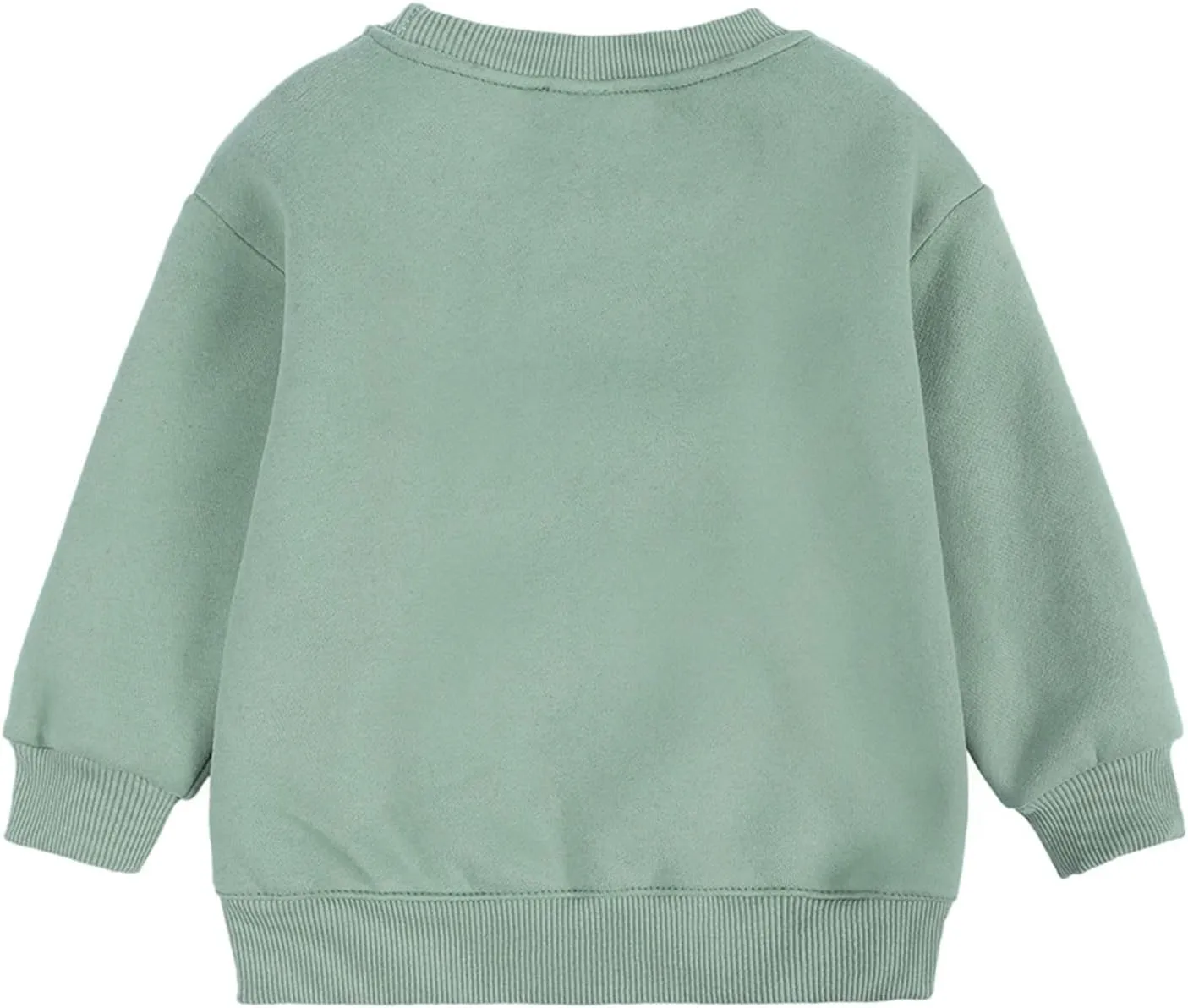 Toddler Boys Girls Fleece Lined Crewneck Sweatshirt Kids Sport Solid Basic Cotton Pullover Tops Long Girls Undershirts